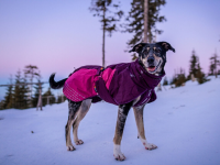 Non-Stop Glacier Jacket 2.0 purple, 33