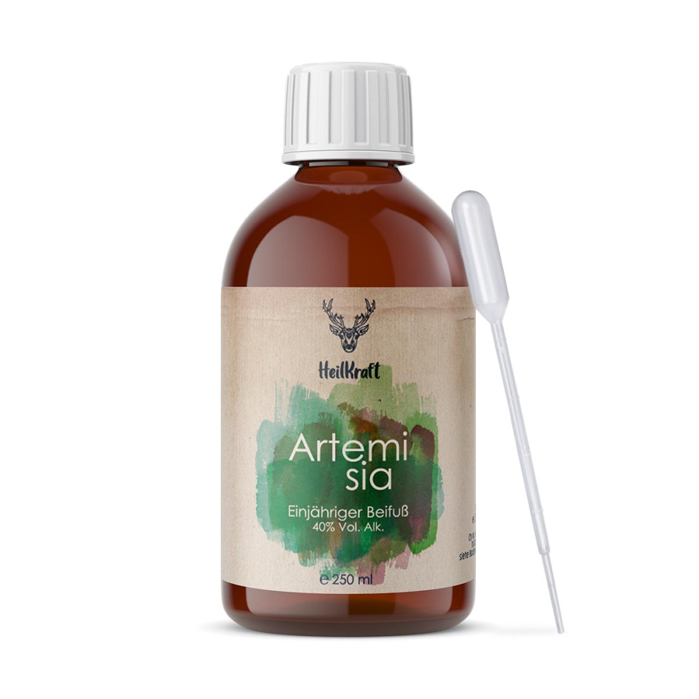 Heilkraft Artemisia annua 40% Alkoholauszug 250 ml