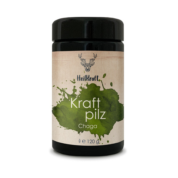 Kraftpilze